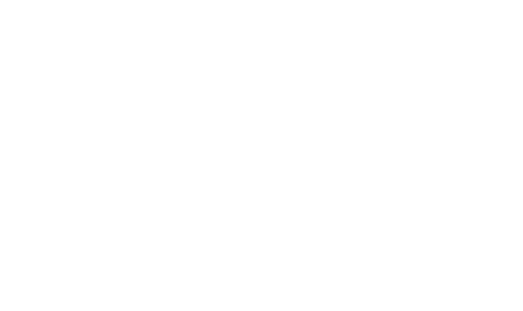 STX Consulting FZCO
